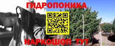 гидра Дубна